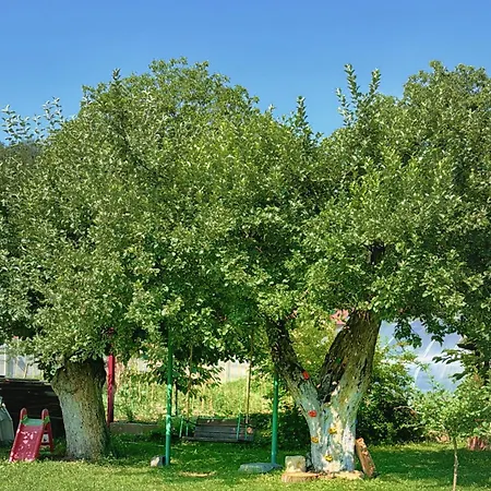 Villa Retreat In The