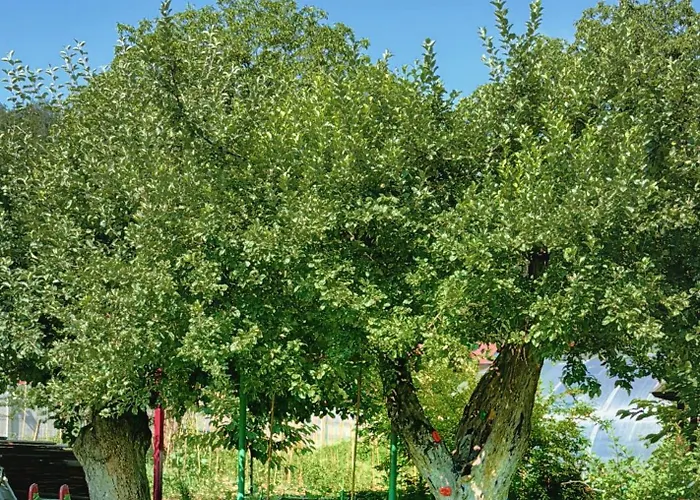 Villa Retreat In The